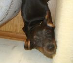 Фотография Бородиной Лизочки