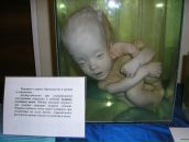 Фотография Таранина Алексея