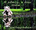 Сергій Громик фотография #40 (источник - https://vk.com/id76801216)