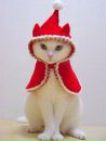 Оля Калитин фотография #9 (источник - https://vk.com/id247613090)