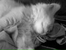 Леруся Леруся=ь фотография #2 (источник - https://vk.com/id105073837)