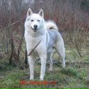 Ігор Гавриленко фотография #2 (источник - https://vk.com/id101655060)