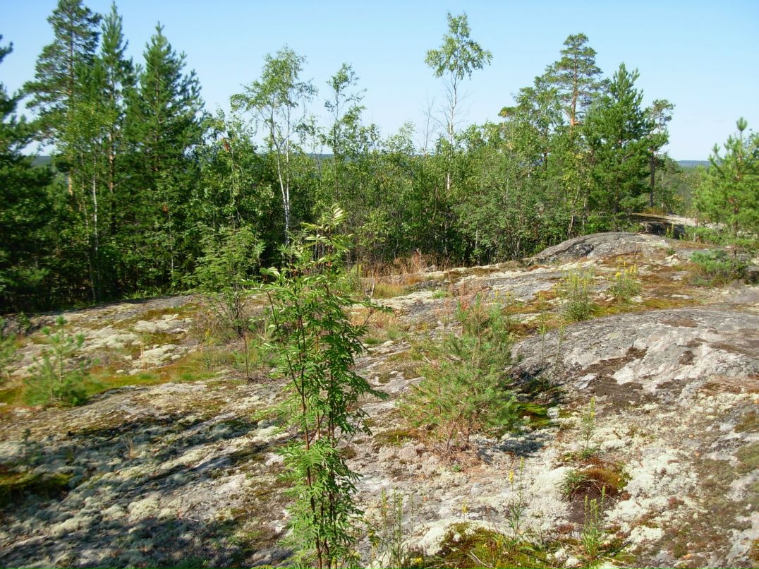 Симас Бумша фотография #29