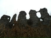 Міша Шкромида фотография #39 (источник - https://vk.com/id65454532)