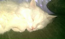 Фотография Пономарёва Ильи