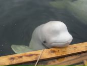 Фотография Зиненковой Ольги