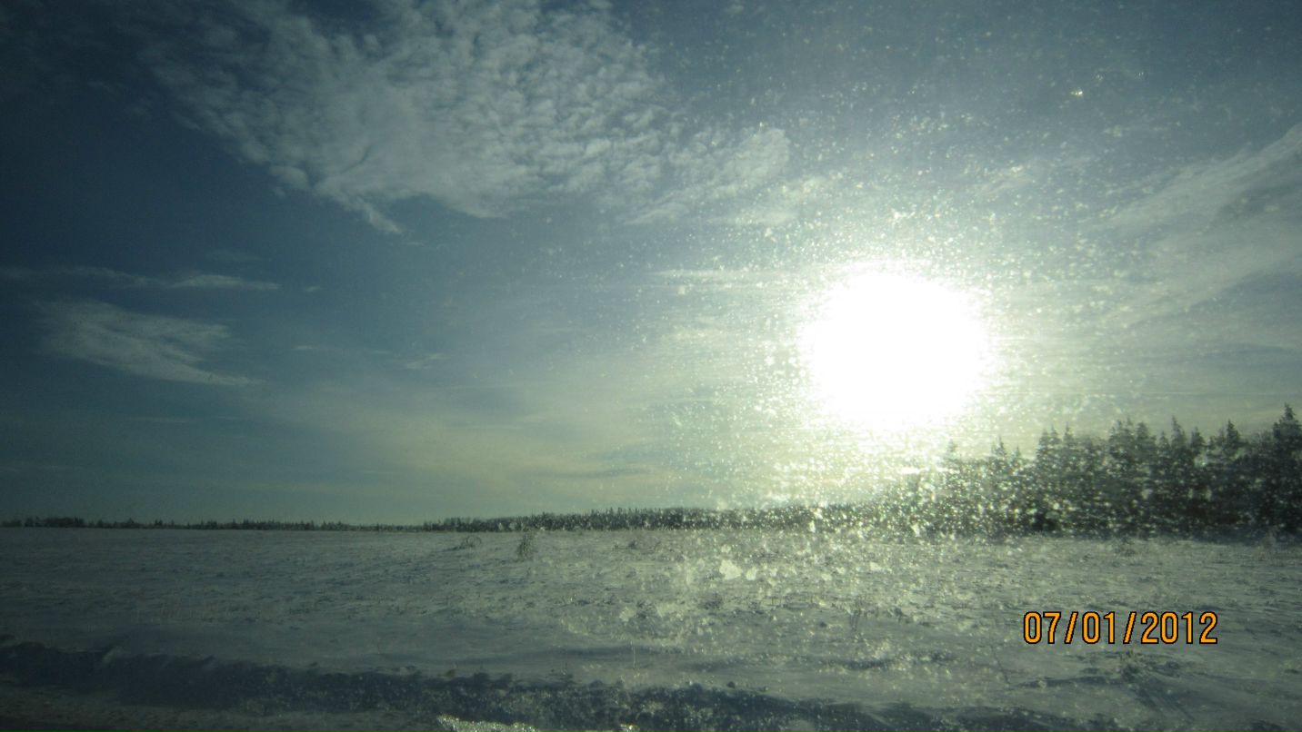 Дмитрий Грачёв фотография #33