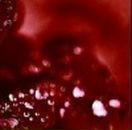 Голіната Світлана фотография #5 (источник - https://vk.com/id70881949)