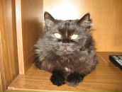 Фотография Паршина Павла