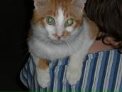 Фотография Кукольщиковой Юлии