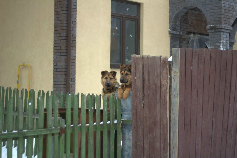 Дмитрий Киреев фотография #28