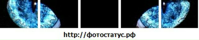 Андрій Маслянчук фотография #49 (источник - https://vk.com/id30468121)