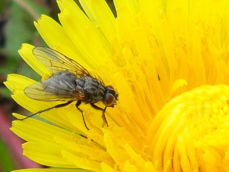 Наталья Мальцева фотография #14