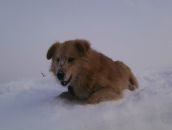 Міша Мудрак фотография #11 (источник - https://vk.com/id133031979)