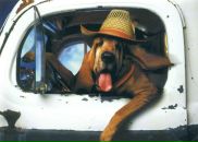 Фотография Кулагина Игоря