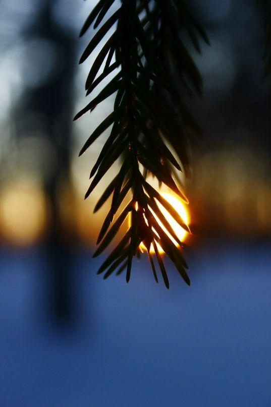 Дмитрий Удельнов фотография #32