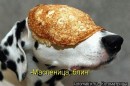 Фотография Субботиной Виктории