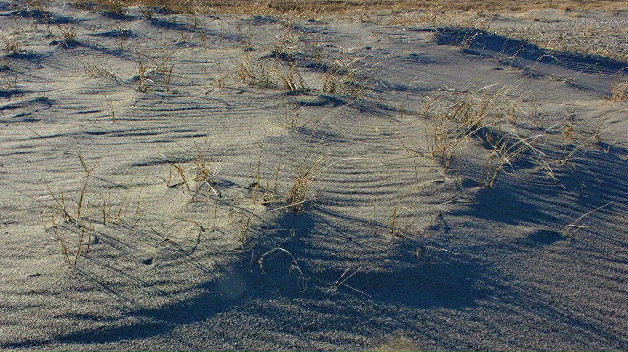 Глеб Петров фотография #21