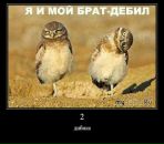 Дмитрий Бирюков фотография #21 (источник - https://vk.com/id67059265)