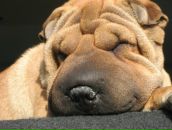 Фотография Чураковой Татьяны