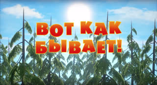 Маша и  Медведь. Серия 74. Вот как бывает!